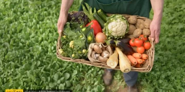 راهنمای کامل خرید محصولات ارگانیک