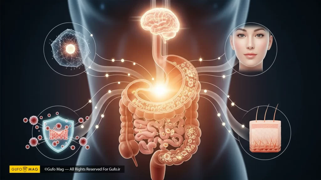 اهمیت پروبیوتیک در سلامتی بدن