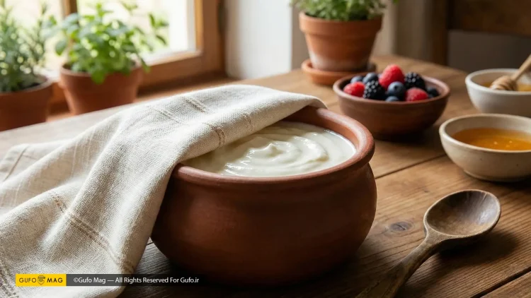 طرز تهیه ماست خانگی