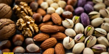 خواص آجیل چهارمغز