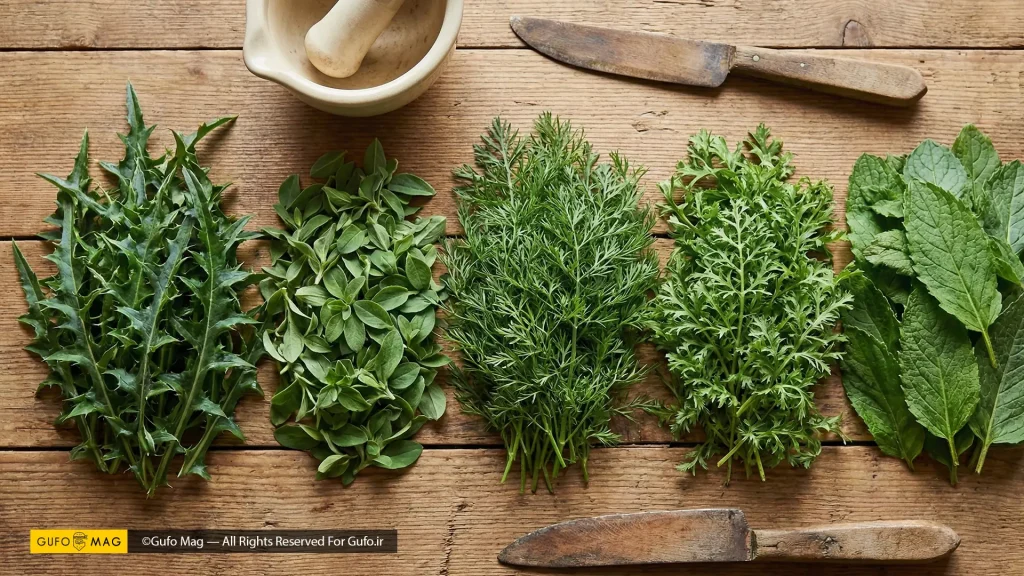 انواع مختلف سبزی‌های معطر شمالی چیده شده روی میز کار چوبی