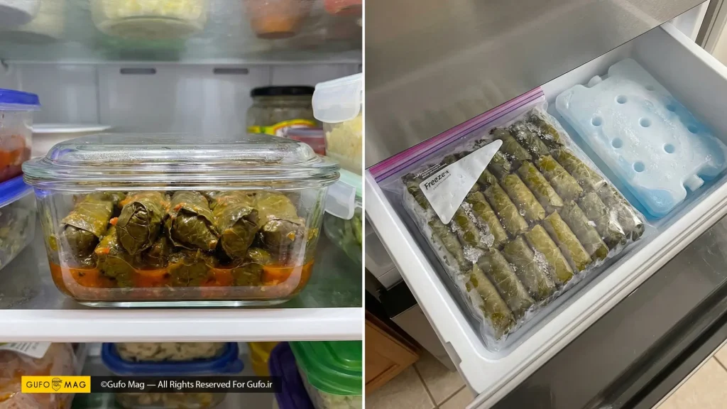 نگهداری دلمه شامل ظرف دلمه پخته در یخچال (چپ) و بسته‌بندی دلمه خام در فریزر (راست)